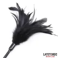 Kitzler mit Mehreren Federn und Spitzenband-Paddelkamm von Latetobed BDSM Line