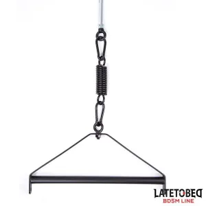 Decken-Schaukel von Latetobed BDSM Line | Fesselliebe.de