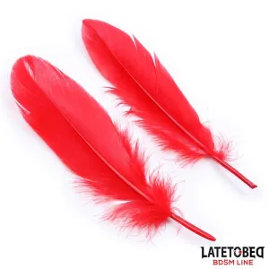 3-Teiliges Bondage-Set Handschellen, Augenmaske und Federn von Latetobed BDSM Line