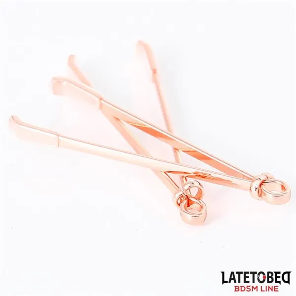 Nippelklemmen Farbe Roségold von Latetobed BDSM Line | Fesselliebe.de