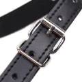 Lippenknebel, Mundförmig, Verstellbar 39-58 cm von Latetobed BDSM Line