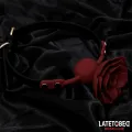 Atmungsaktiver Silikon-Ballknebel mit Rose Verstellbar 47–56 cm von Latetobed BDSM Line