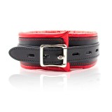 Halsband mit Metallleine Innenseite Gepolstert Rot/Schwarz von Latetobed BDSM Line | Fesselliebe.de