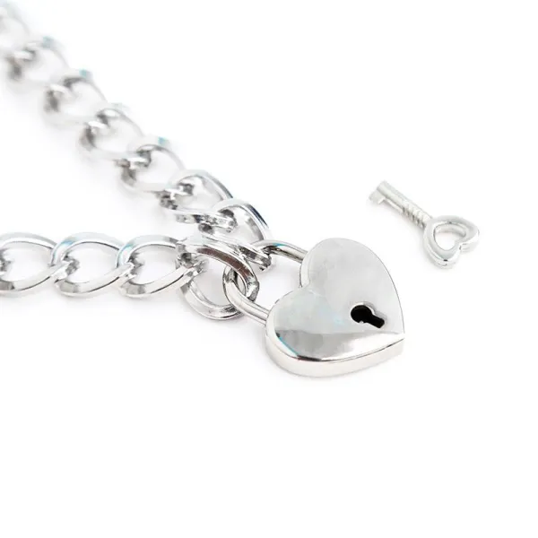 Halsband mit Schloss Metall Grösse M 44 cm von Latetobed BDSM Line | Fesselliebe.de