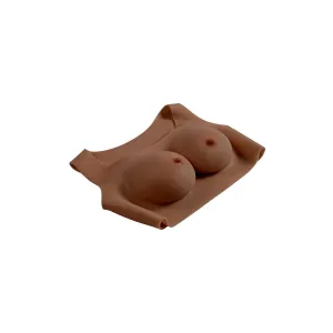 undergarments - Plate C-Cup Dark