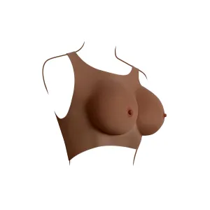 undergarments - Plate C-Cup Dark