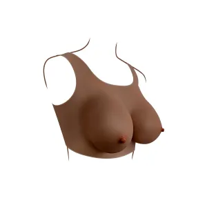 undergarments - Plate D-Cup Dark