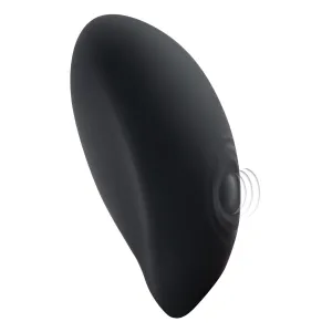 Evolved Gender X Zero Tolerance The Big Bang