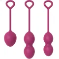 Anabiosis Vaginalhantel 3 Stufen Burgund von Armony Wearables