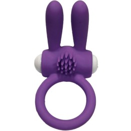 Mr Bunny Vibratorring Silikon Lila von Armony For Him | Fesselliebe.de