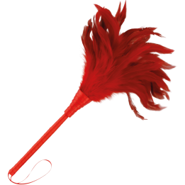 Roter Stimulierender Stift 24cm von Darkness Sensations | Fesselliebe.de