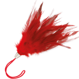 Roter Stimulierstift 17 cm von Darkness Sensations | Fesselliebe.de