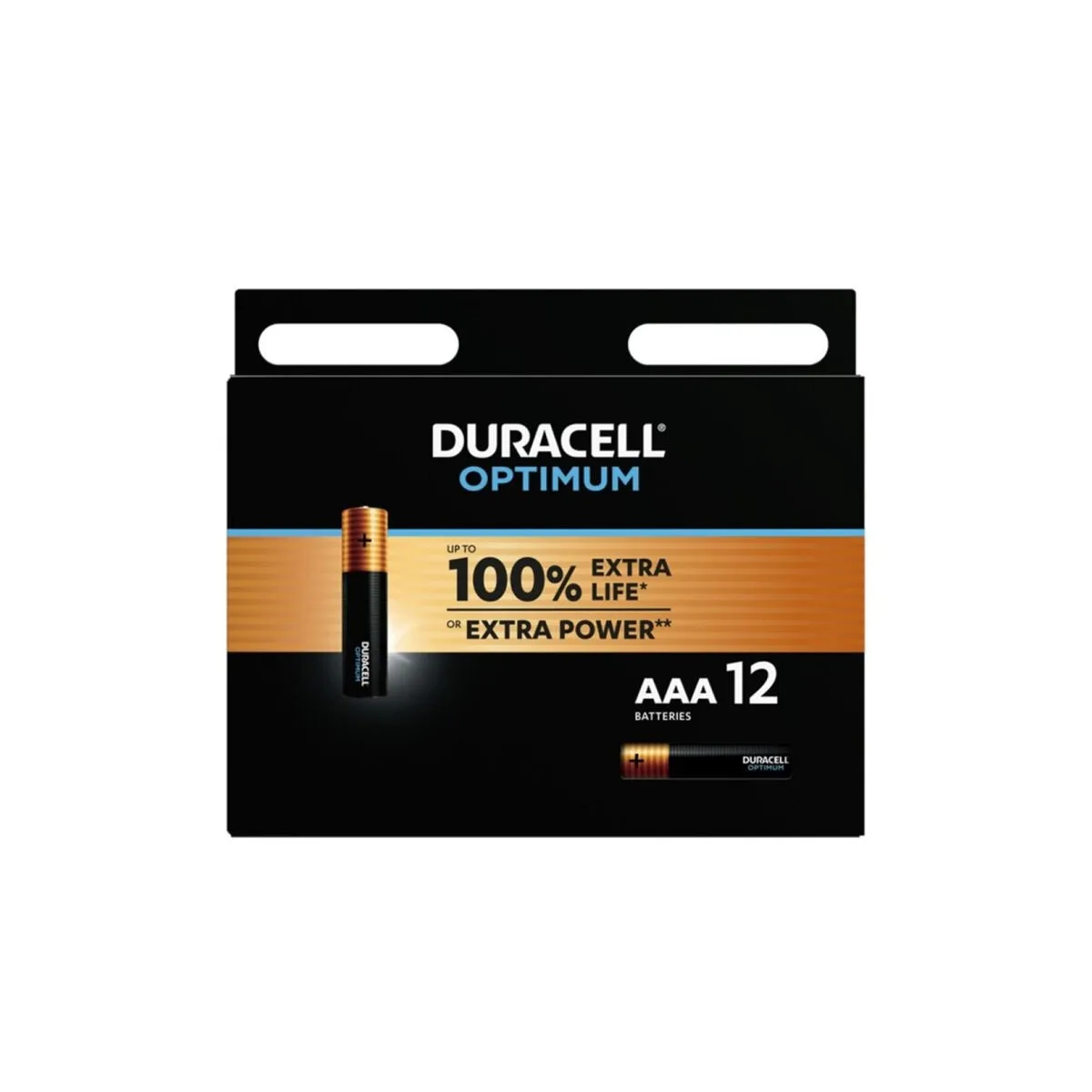 Optimum 200 Alkaline Batterie Aaa Lr03 12 Einheit von Duracell | Fesselliebe.de