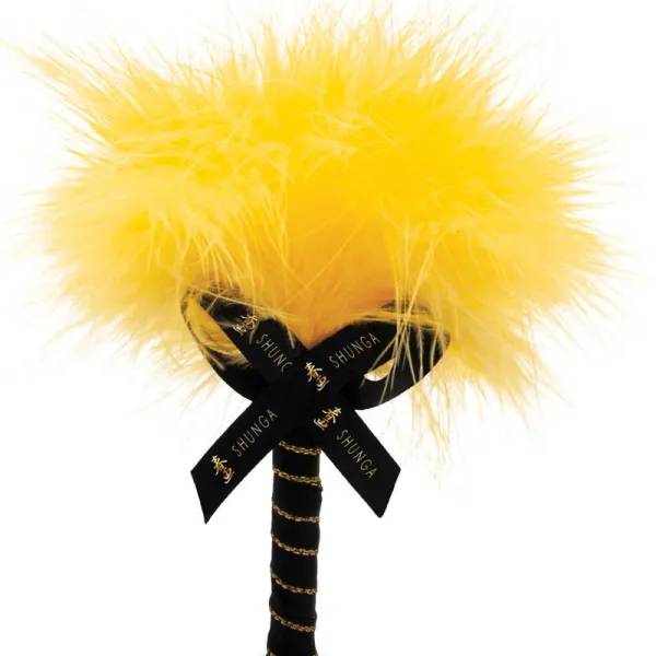 Essbares Massagepulver-Set Mango von Shunga Body Power | Fesselliebe.de