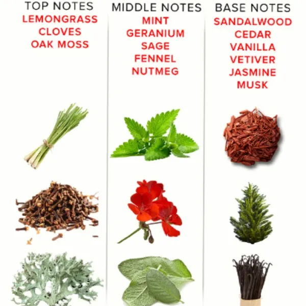 Eol Phr Parfum Deluxe 50 ml - Romantic von Eye Of Love | Fesselliebe.de