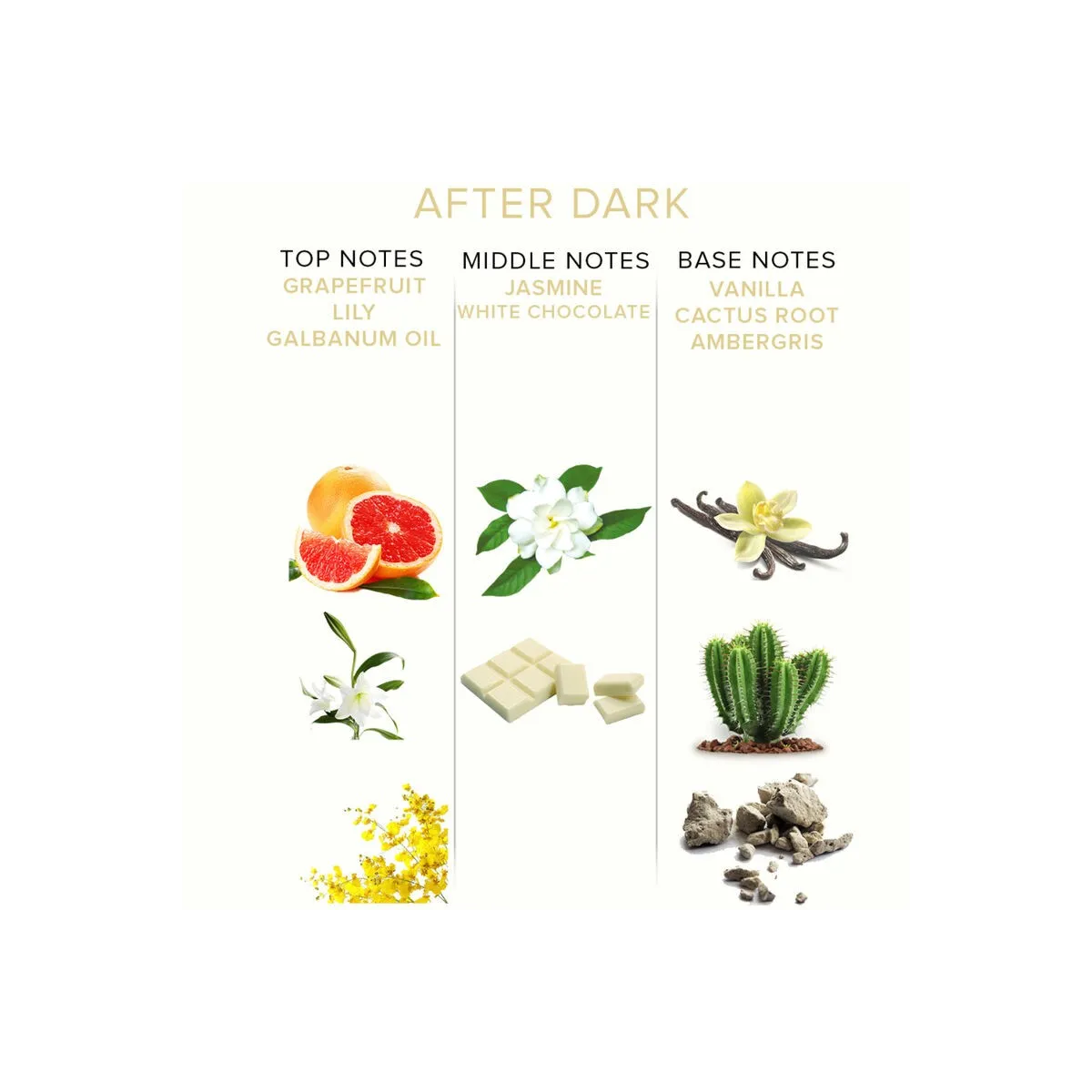 Eol Pheromon Parfum 10 ml - After Dark von Eye Of Love | Fesselliebe.de