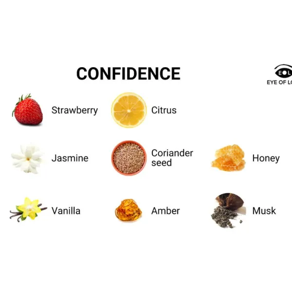 Eol Pheromon Parfum 10 ml - Confidence von Eye Of Love | Fesselliebe.de