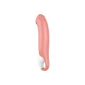 Vibe Master von Satisfyer Vibrator