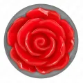 Plug Anal Rose Rot Grösse S von Kink Pleasure Plugs