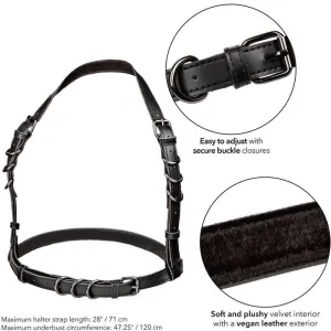 Euphoria Plus Size Halter Buckle Harness Schwarz von Calexotics