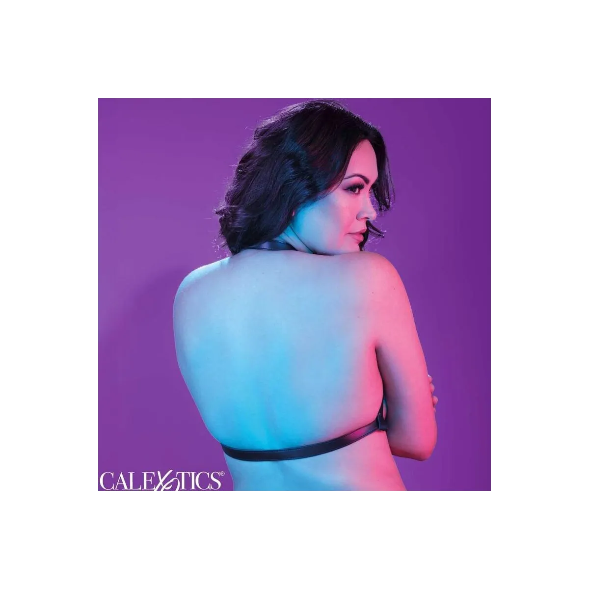 Euphoria Plus Size Halter Buckle Harness Schwarz von Calexotics | Fesselliebe.de