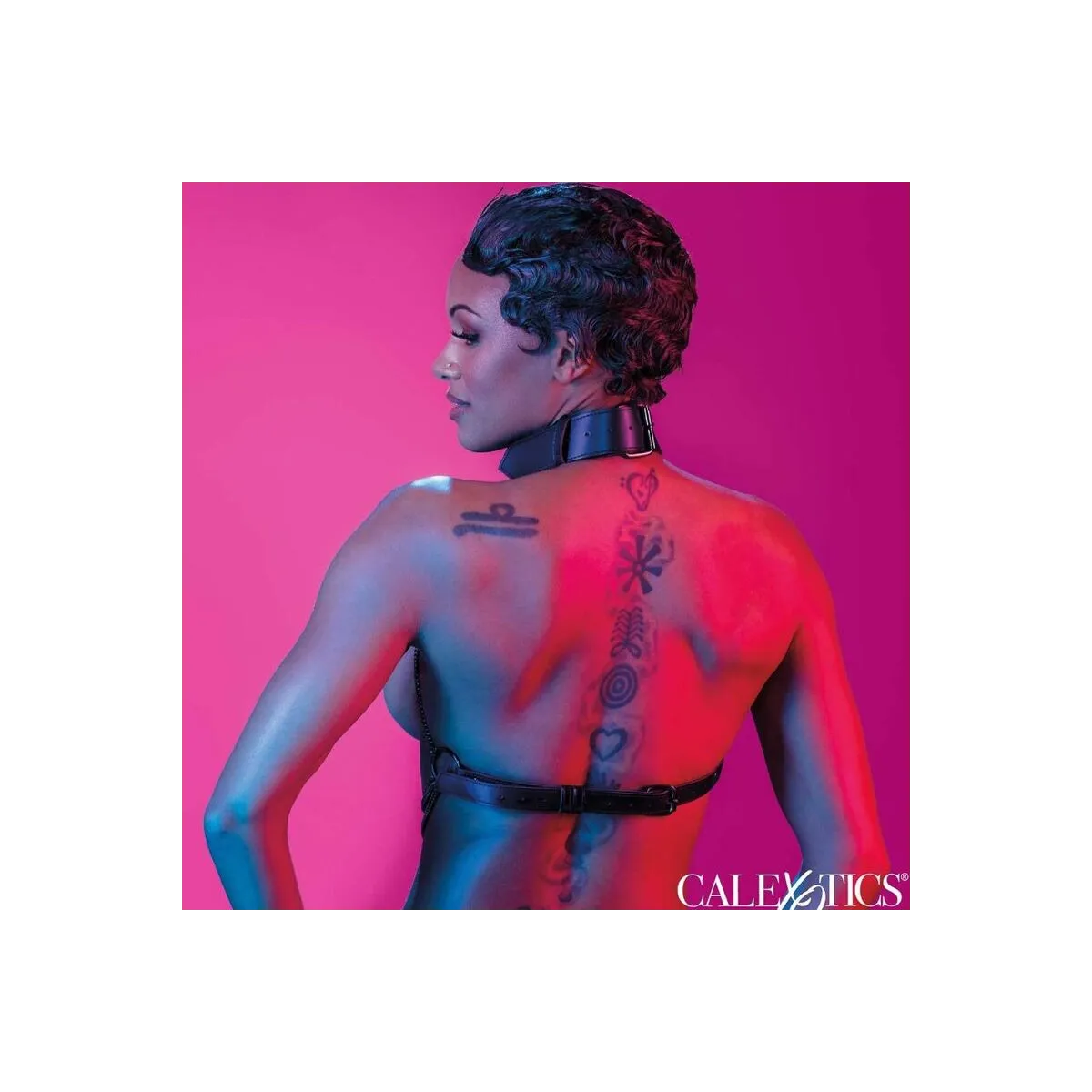 Euphoria Mehrkettenhalsbandgeschirr von Calexotics | Fesselliebe.de