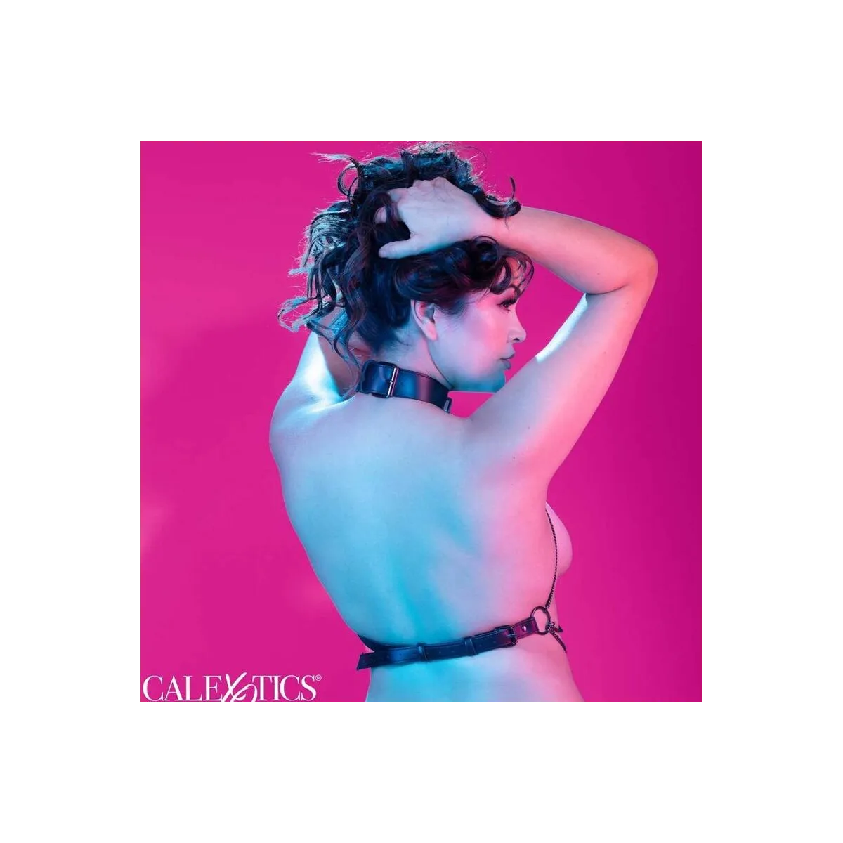 Euphoria Plus Grösse Mehrkettenhalsbandgeschirr von Calexotics | Fesselliebe.de