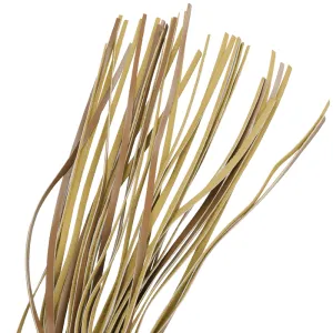 Vegane Lederpeitsche von Fetish Submissive Origin