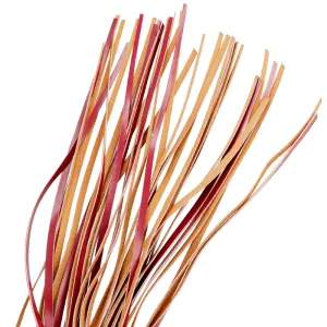 Peitsche aus Veganem Leder von Fetish Submissive Dark Room