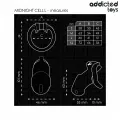 Mindnight Cell Peniskäfig Grösse L von Addicted Toys Locked