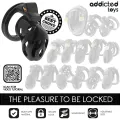 Versiegelter Peniskäfig 8 cm von Addicted Toys Locked