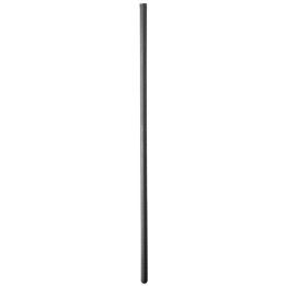 6 Mm Harnröhrensonde aus Silikon von All Black | Fesselliebe.de