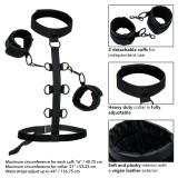 Boundless Kragenkörperführung von Calexotics | Fesselliebe.de