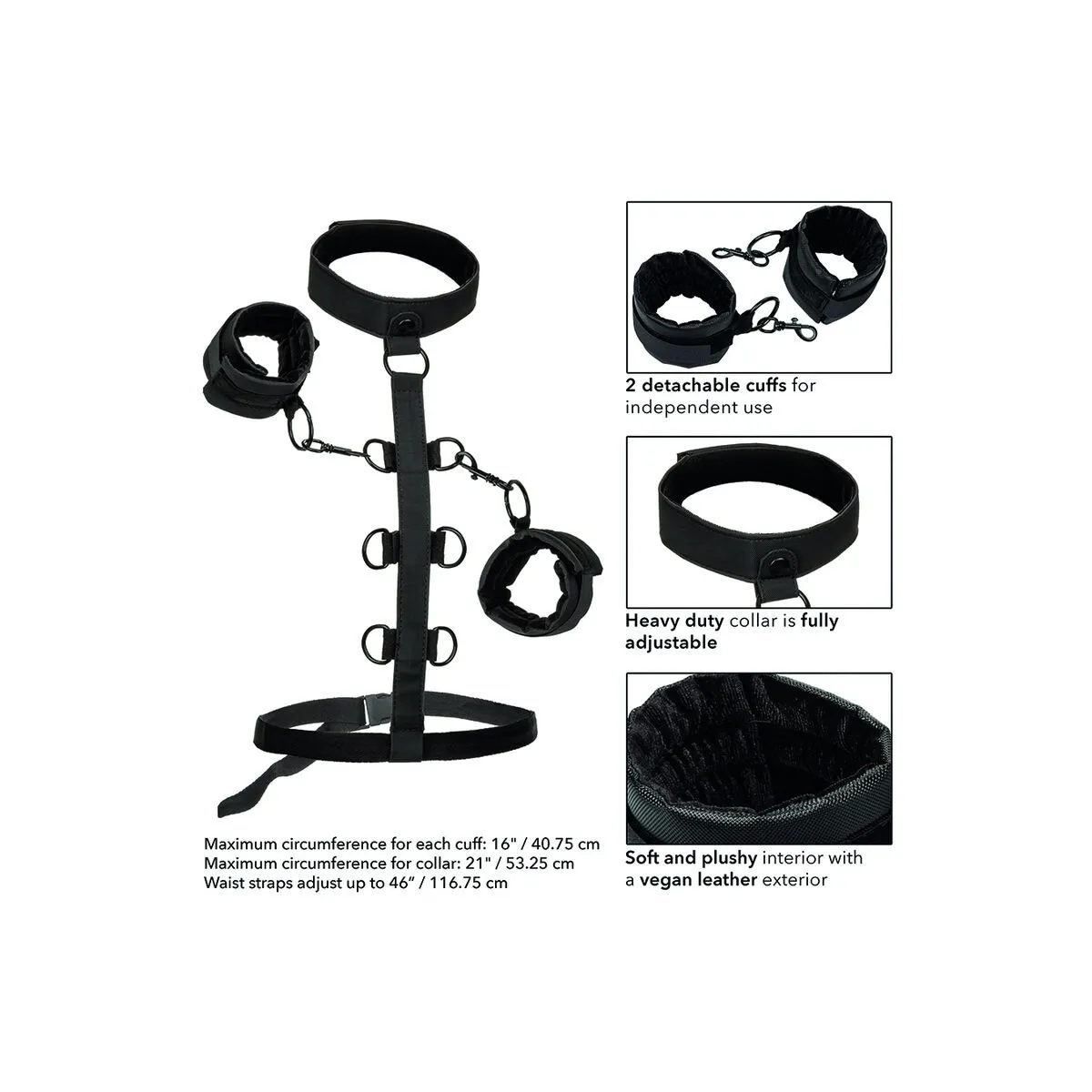 Boundless Kragenkörperführung von Calexotics | Fesselliebe.de