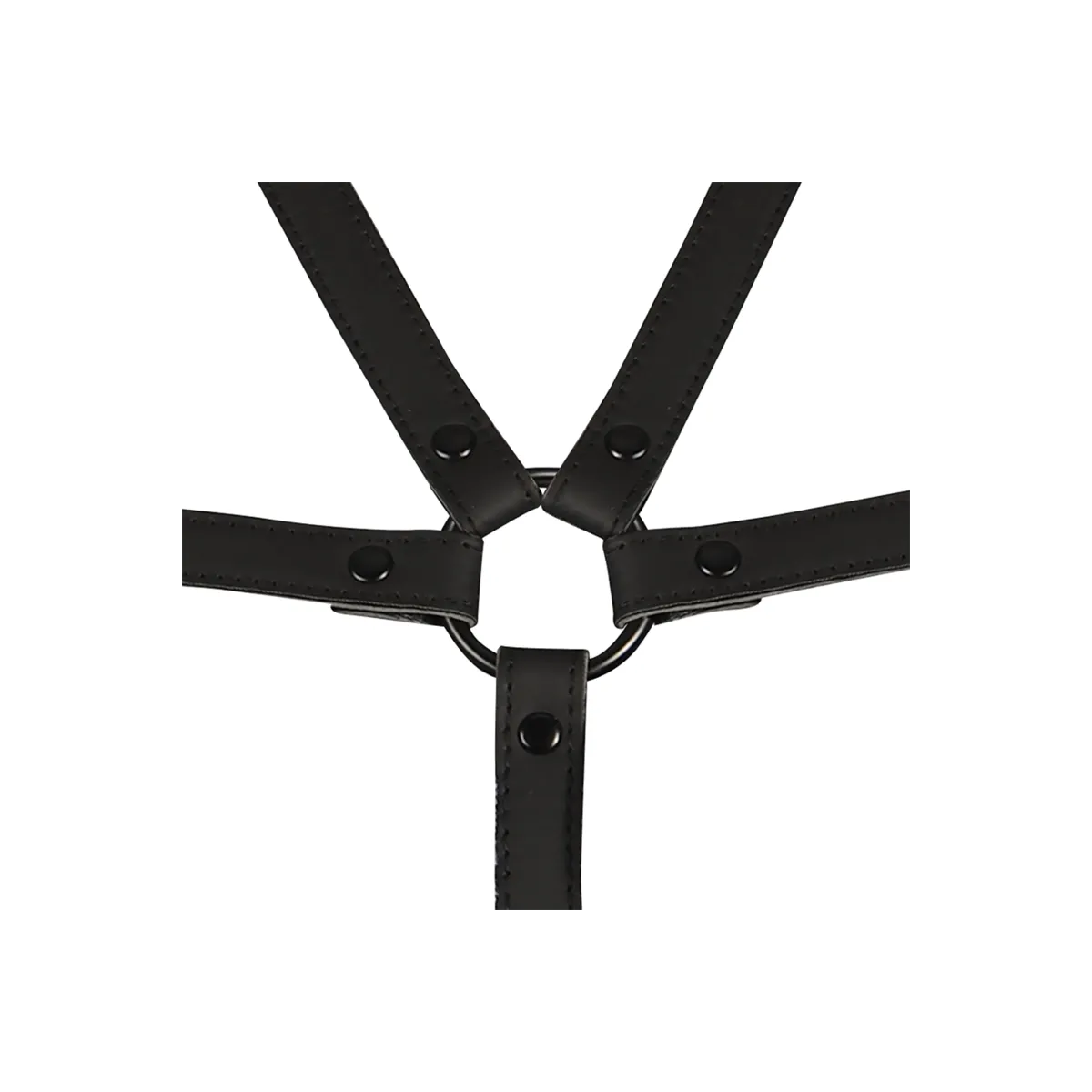 Verstellbarer Gurt für Torso und Arme von Fetish Submissive Bondage | Fesselliebe.de