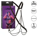 Euphoria Multichain Harness Premium von Calexotics