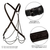 Euphoria Multichain Harness Premium von Calexotics | Fesselliebe.de