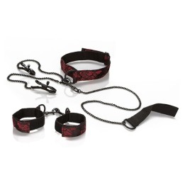 Scandal Einreichungskit von Calexotics | Fesselliebe.de