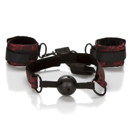 Scandal Atmungsaktiver Ballknebel mit Handschellen von Calexotics | Fesselliebe.de