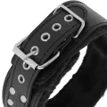 Gefütterte Halskette mit Titankette von Darkness Bondage