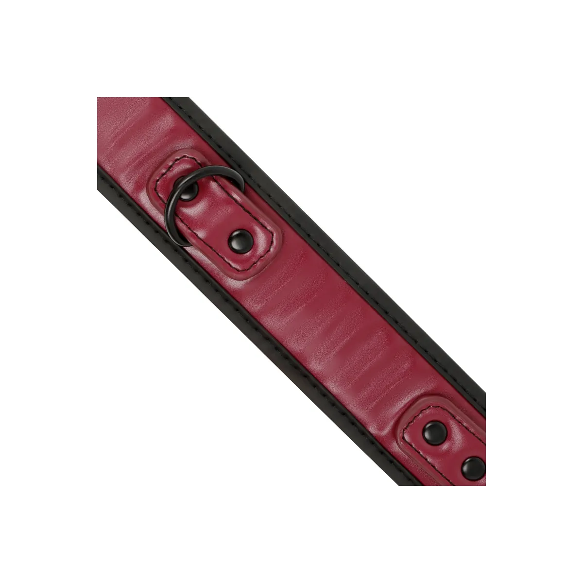 Kettenhalskette mit Neoprenfutter von Fetish Submissive Dark Room | Fesselliebe.de