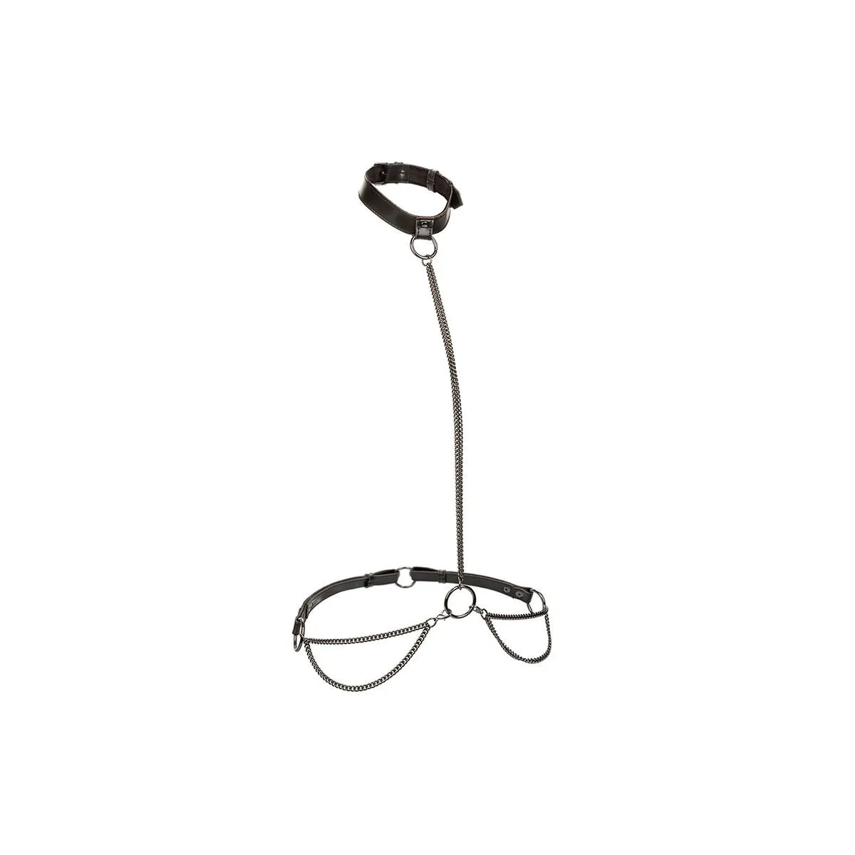 Euphoria Kettenhalfterhalsband und Leine von Calexotics | Fesselliebe.de