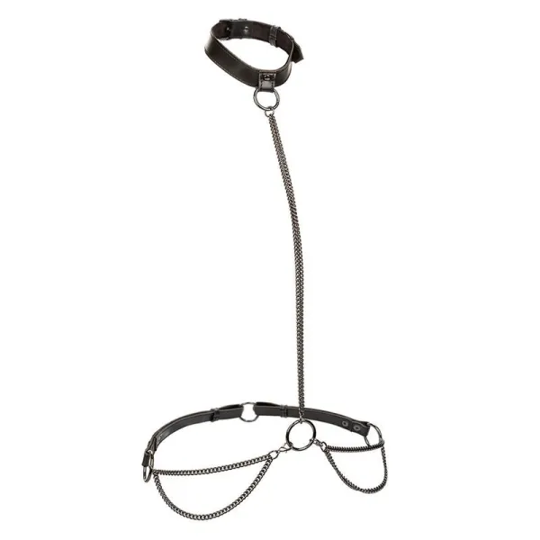 Euphoria Kettenhalfterhalsband und Leine von Calexotics | Fesselliebe.de