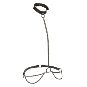 Euphoria Kettenhalfterhalsband und Leine von Calexotics