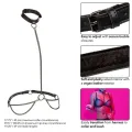 Euphoria Kettenhalfterhalsband und Leine von Calexotics