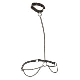 Euphoria Kettenhalfterhalsband und Leine Übergrösse von Calexotics | Fesselliebe.de