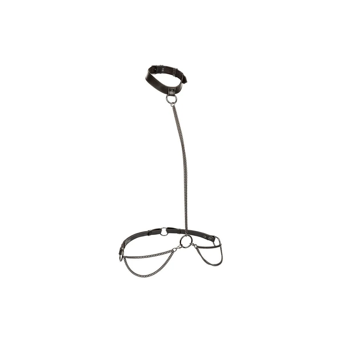 Euphoria Kettenhalfterhalsband und Leine Übergrösse von Calexotics | Fesselliebe.de