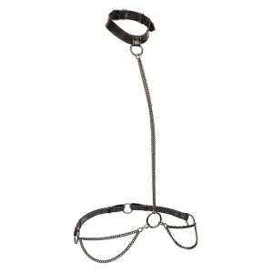 Euphoria Kettenhalfterhalsband und Leine Übergrösse von Calexotics