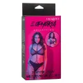 Euphoria Kettenhalfterhalsband und Leine Übergrösse von Calexotics