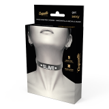 Sklaven-Halsband aus Veganem Leder von Coquette Accessories | Fesselliebe.de